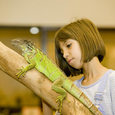 A young person looking at a lizard close up