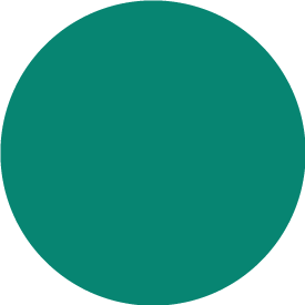 Green Circle - Pandemic Detectives