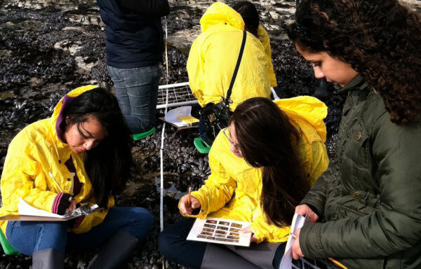 Students conducting research during the Marine Biology Program